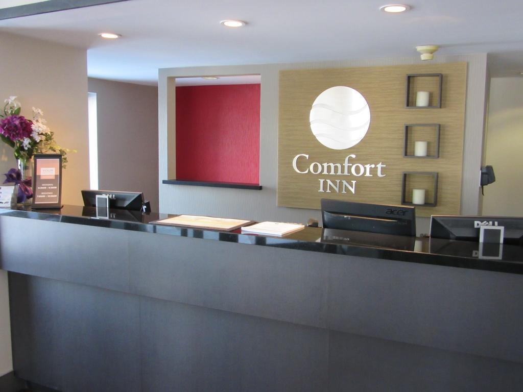 Comfort Inn Cobourg Eksteriør billede